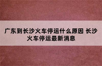 广东到长沙火车停运什么原因 长沙火车停运最新消息